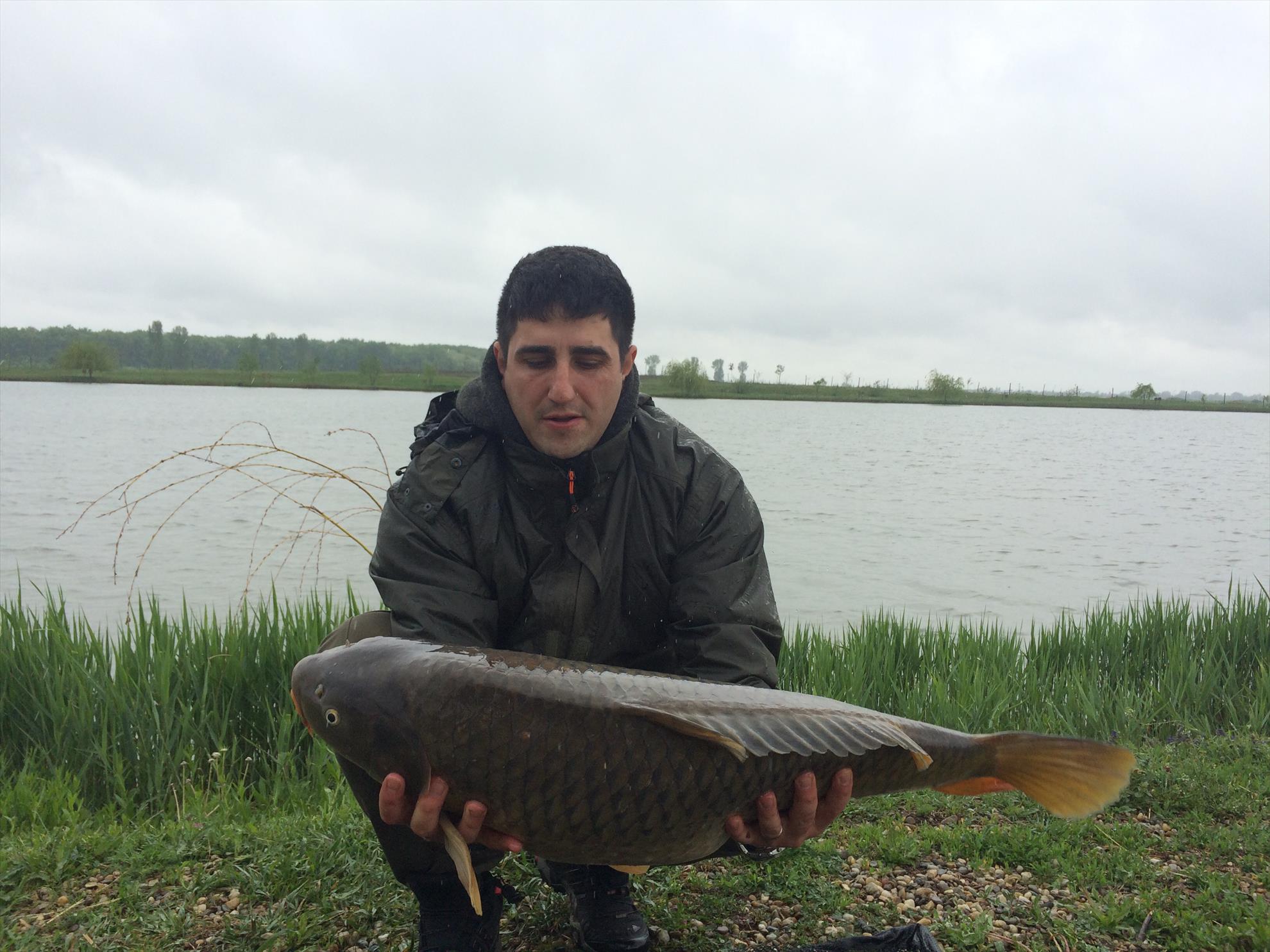 Balta mobydick dorlot - image11111.jpg